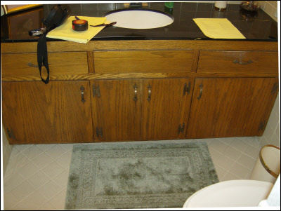 Milwaukee Master Bathroom Vanity Remodel