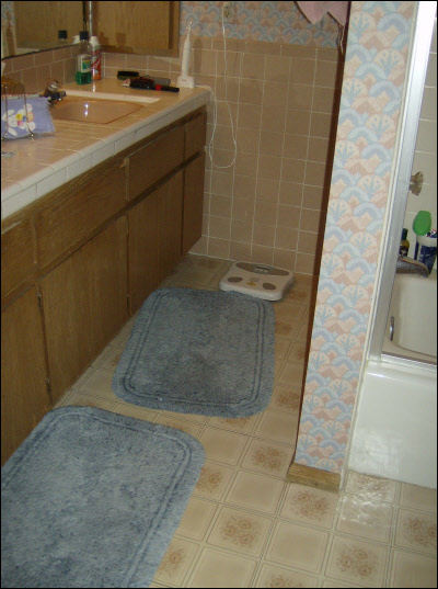 Milwaukee Bathroom Remodel