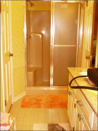 Milwaukee Shower & Vanity Bathroom Remodel