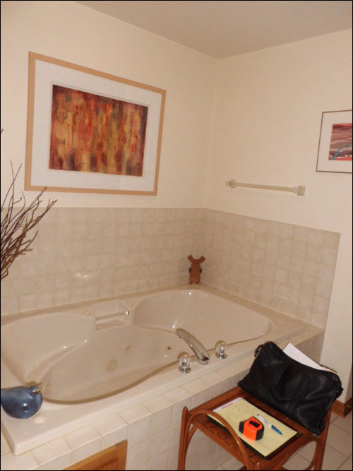 Brookfield Whirlpool to Shower