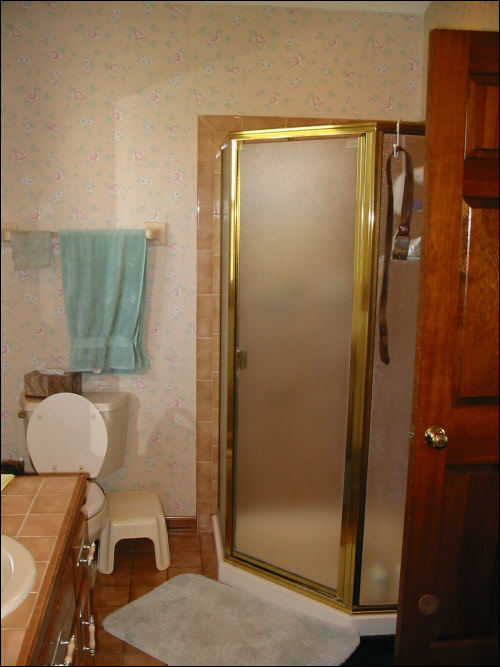 Waukesha Master Bath Tub & Shower